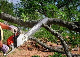 Soil Testing and Treatment in Beaver, OK